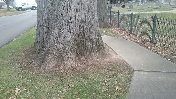 New London Recreation Park Picture 3