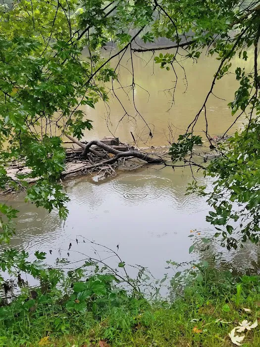 Last of the Mohicans Campground, LLC Picture 6