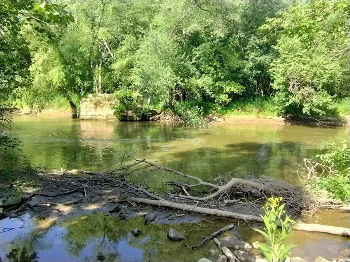 Mohican Wilderness Picture 8