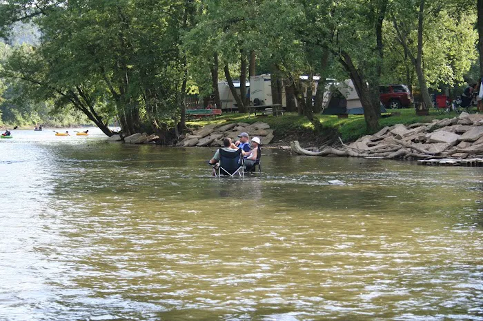 Wally World Riverside RV Resort & Camping Picture 3