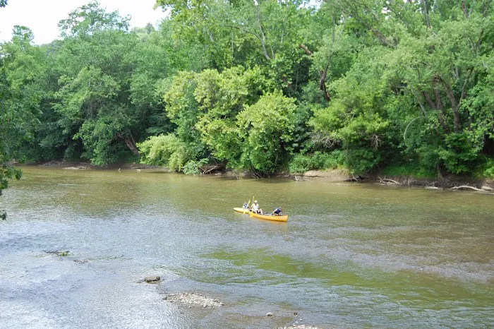 Wally World Riverside RV Resort & Camping Picture 7