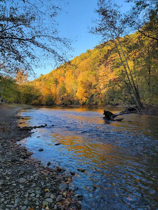 Wally World Riverside RV Resort & Camping Picture 5