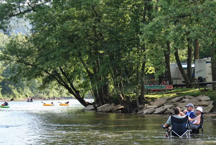 Wally World Riverside RV Resort & Camping Picture 4