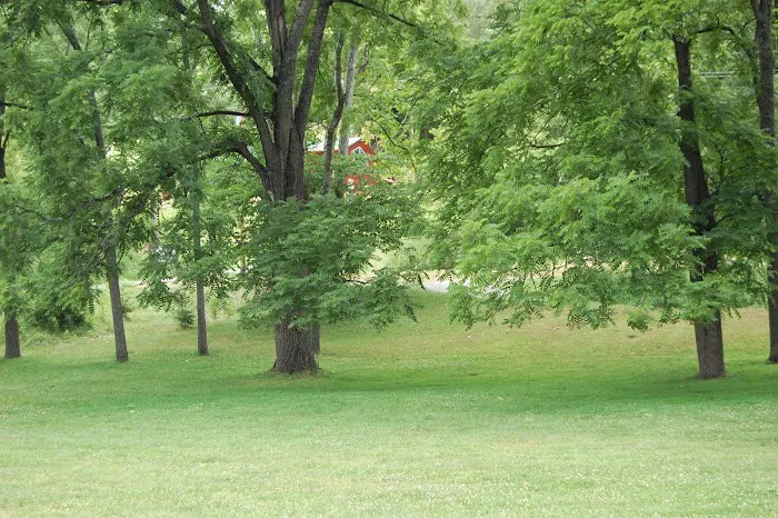 Wally World Riverside RV Resort & Camping Picture 6