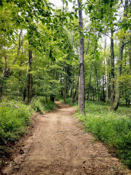 October Hill Campground Picture 10