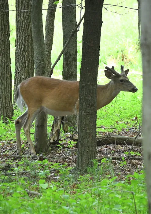 Uncle John's Campground Picture 5