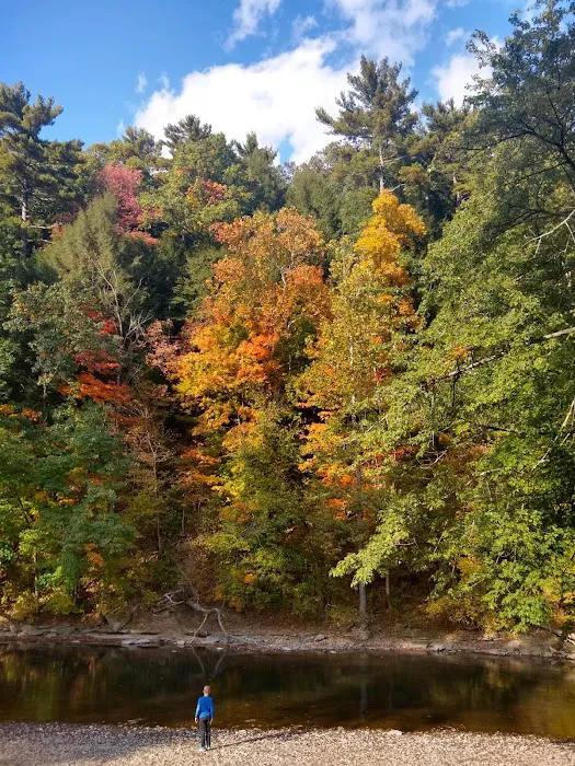 The Lost Horizons Family Campground Picture 1
