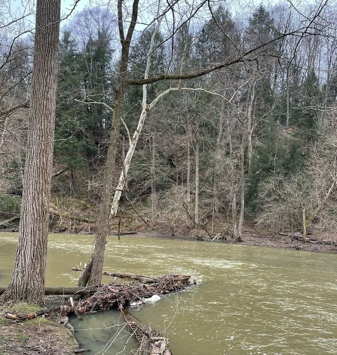 Mohican State Park Campground Picture 9