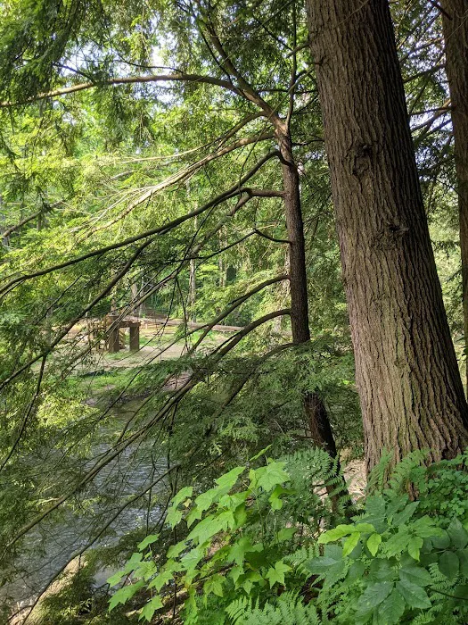 Mohican State Park Campground Picture 3