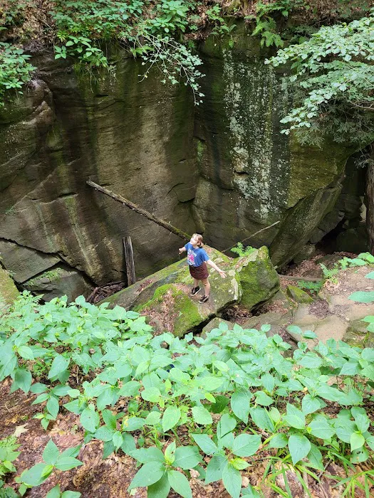 Mohican State Park - Backpack Campsite #10 Picture 1