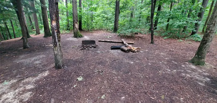 Mohican State Park - Backpack Campsite #10 Picture 5