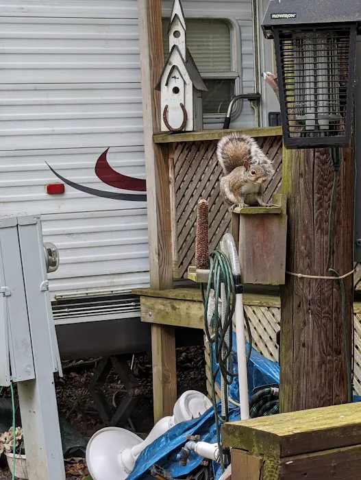 Sunset Springs Family Campground Picture 4