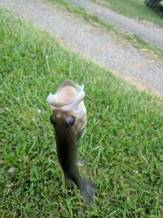 Sunset Springs Family Campground Picture 3