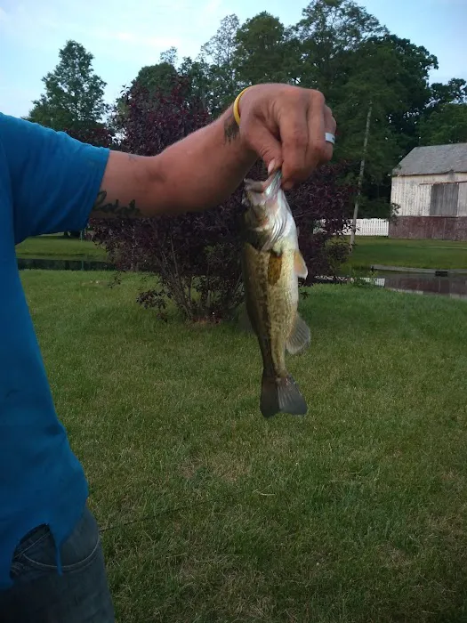 Sunset Springs Family Campground Picture 10