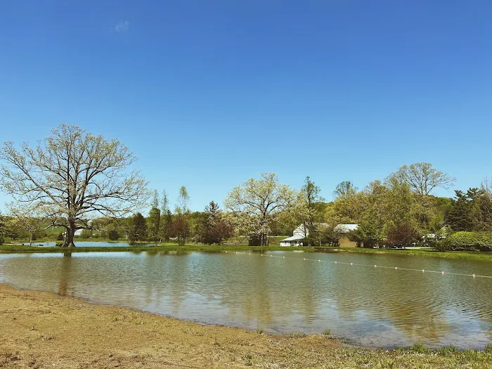 Sunset Springs Camp & Event Center Picture 1