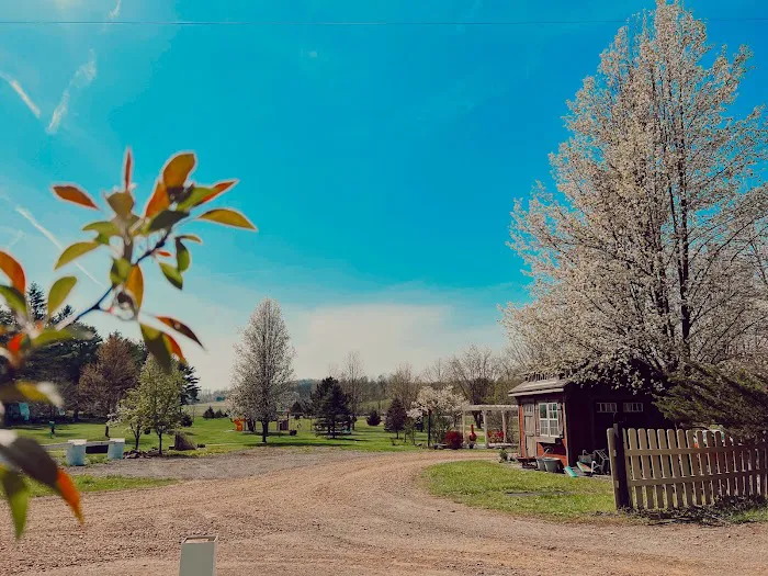 Sunset Springs Camp & Event Center Picture 8