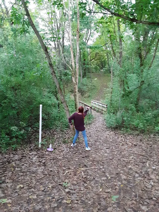 4405 Dillon Hills Dr Picture 5