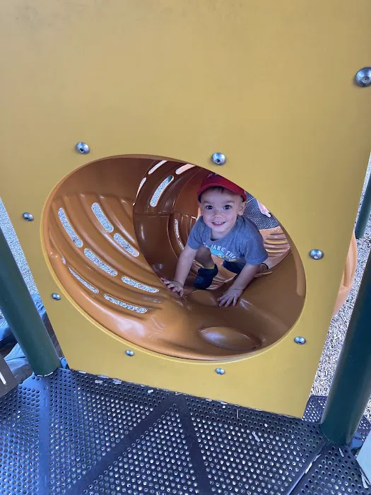 4405 Dillon Hills Dr Picture 4