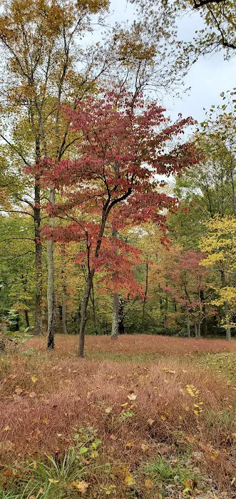 Dillon State Park Cabins Picture 6