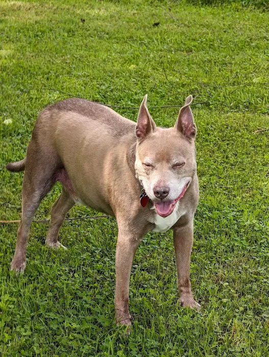 Ruby Lake Campground Picture 8