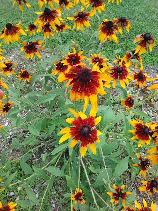 Ruby Lake Campground Picture 6