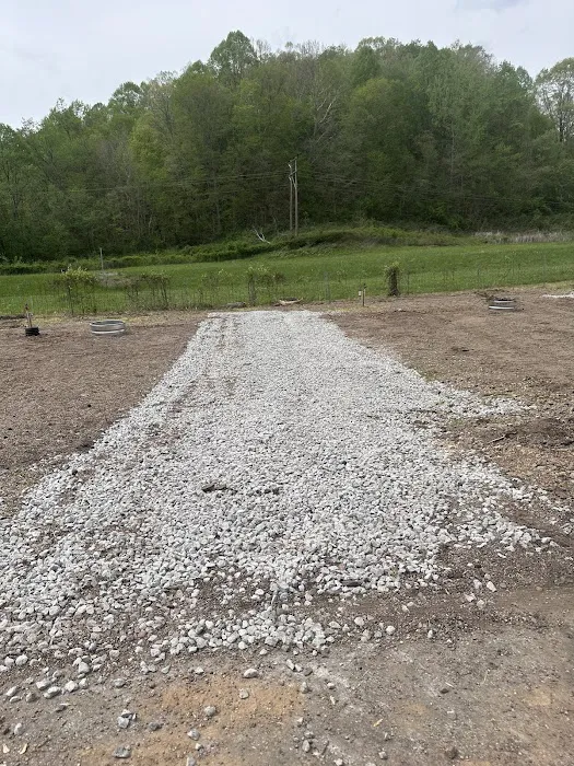 Thomas Fork Camp Spot Picture 2