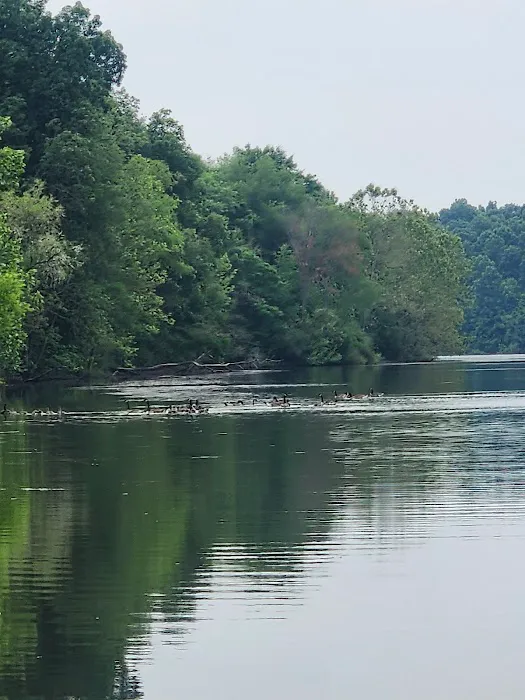 Lake Snowden Campground Picture 6