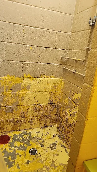 Lake Snowden Campground Picture 1