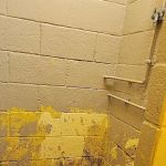 Lake Snowden Campground