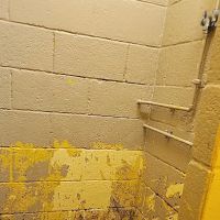 Lake Snowden Campground ico