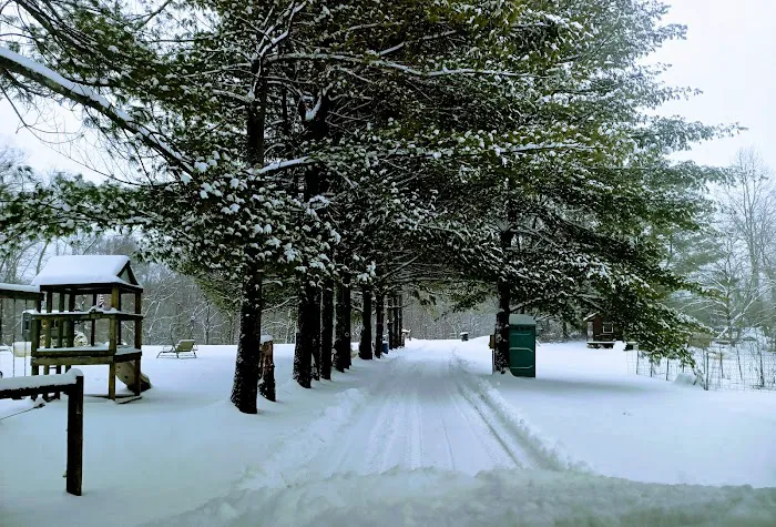 Pop's Place Camping & Cabins LLC Picture 8