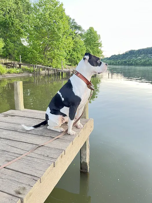 Olde Oak RV Park & Campground Picture 6