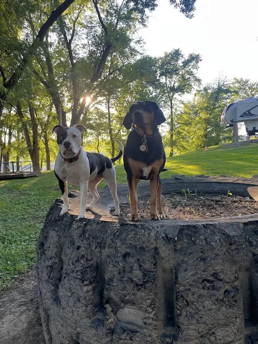 Olde Oak RV Park & Campground Picture 8