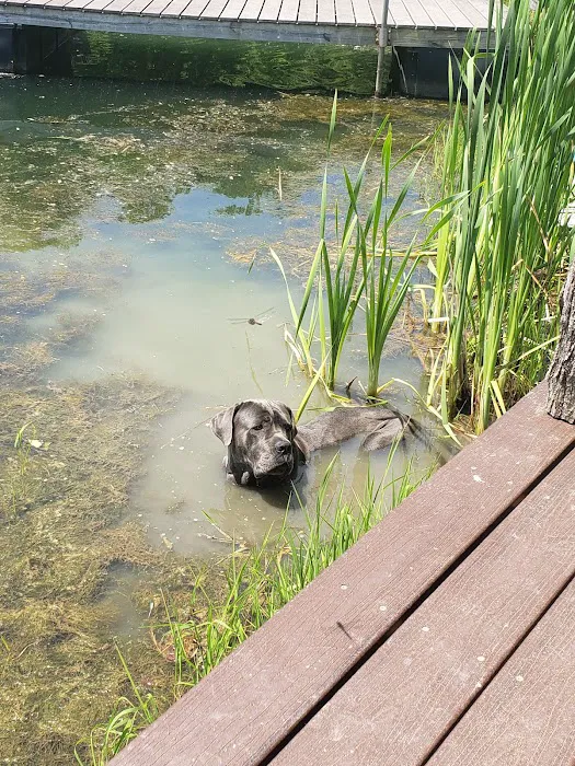Dexter Run Farms and Lodging Farm Cabin Picture 10