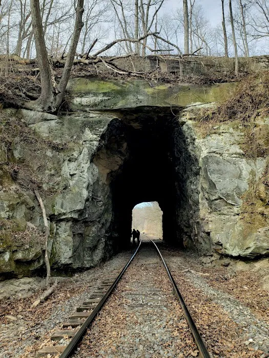 Dexter Run Farms Little Cabin Picture 9