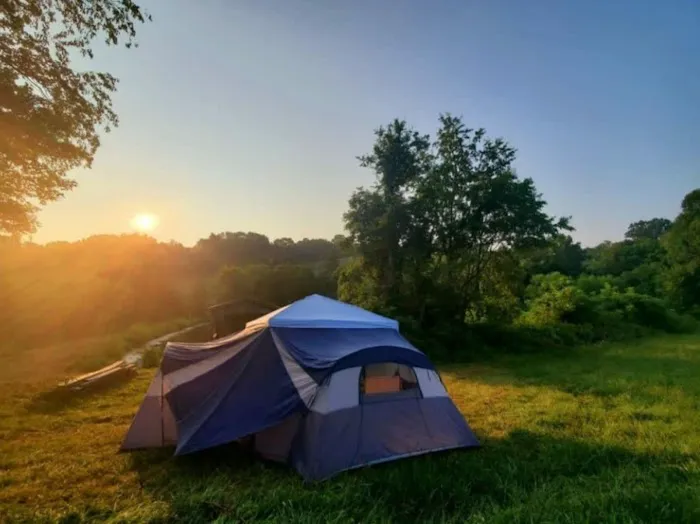 Dexter Run Farms Little Cabin Picture 6
