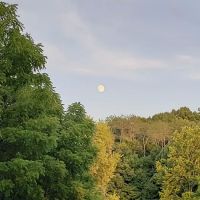 Dexter Run Farms Boathouse ico