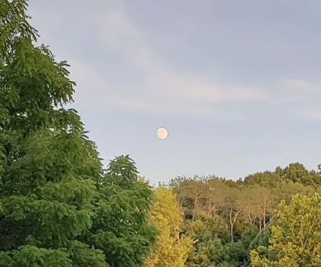 Dexter Run Farms Boathouse