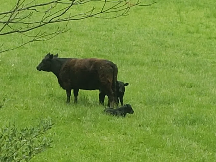 Dexter Run Farms Boathouse Picture 6