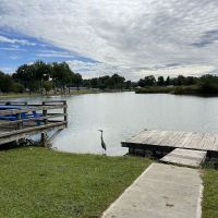 Krodel Park Campground ico