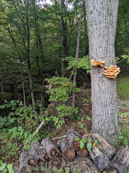 Benton's on the Baileys Picture 9