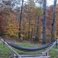 Benton's on the Baileys ico