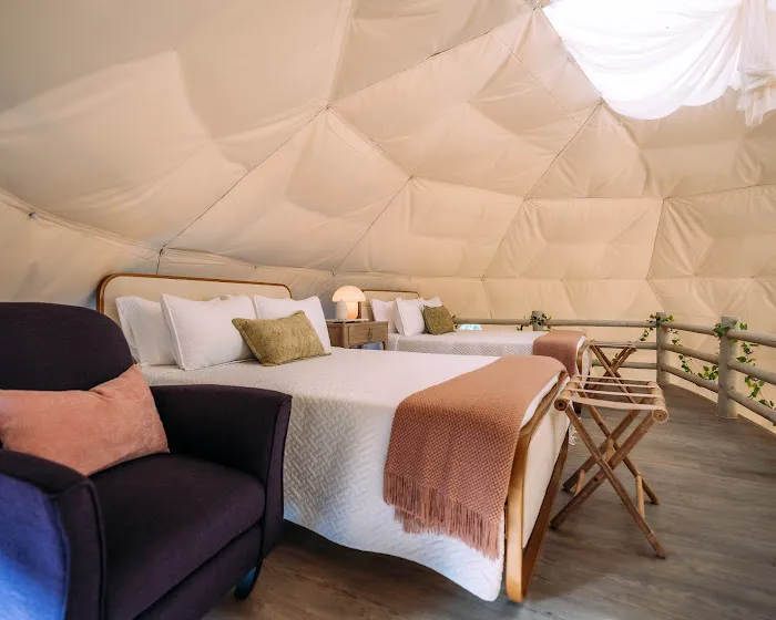 whimsical woods Picture 3