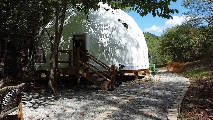 whimsical woods Picture 1