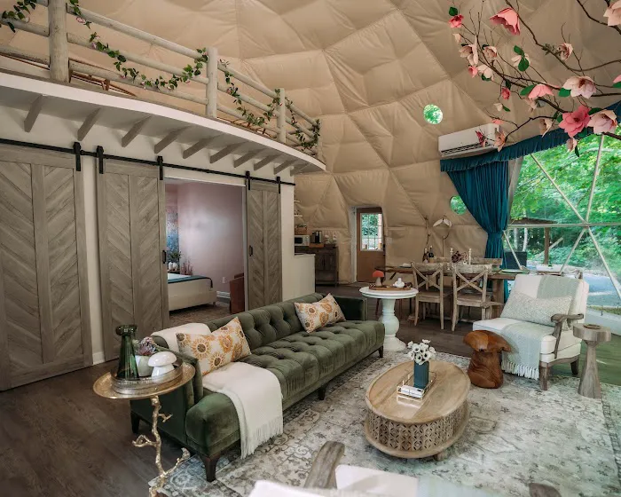 whimsical woods Picture 6