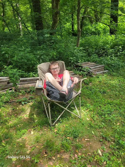 Sycamore Retreat Picture 1