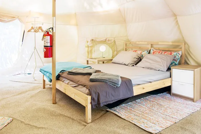 The Eco Camp Picture 2