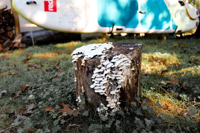 The Eco Camp Picture 6