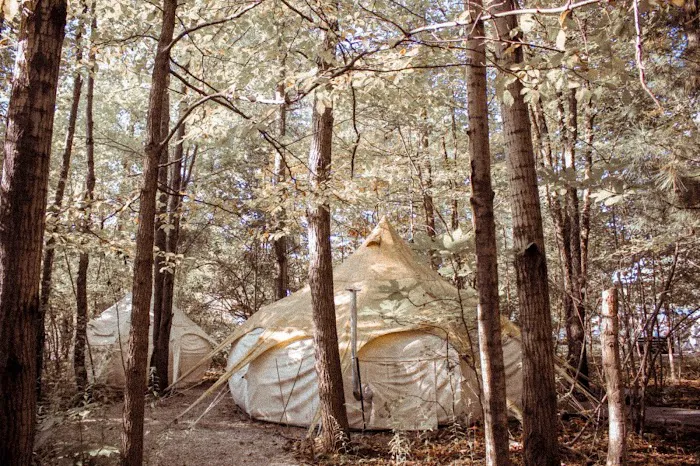 The Eco Camp Picture 3