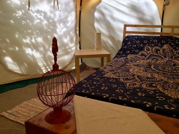 The Eco Camp Picture 9